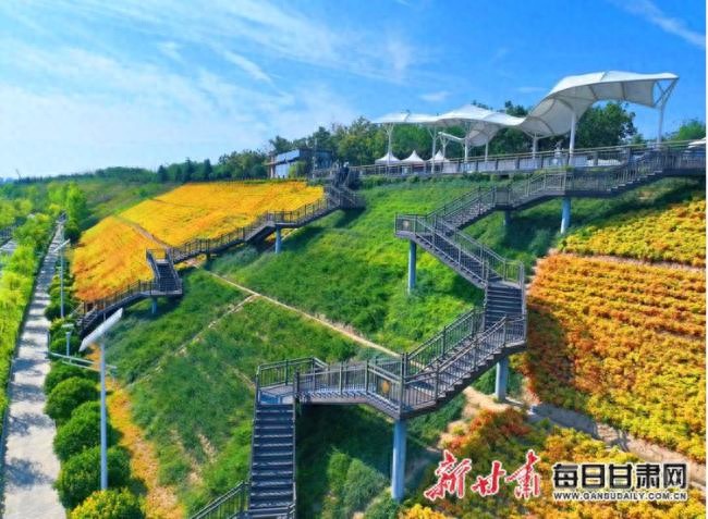 渭河高陵段泾渭分明观景台_西安渭河生态景观区_渭河流域生态保护和高质量发展