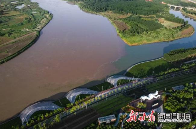 西安渭河生态景观区_渭河高陵段泾渭分明观景台_渭河流域生态保护和高质量发展