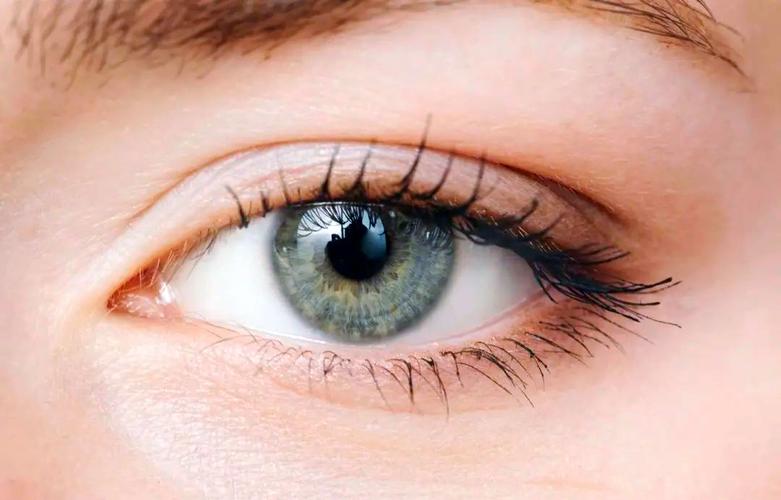 黑枸杞补肾护眼功效_长期喝黑枸杞皮肤好得不得了_冬季养肾黑枸杞好处