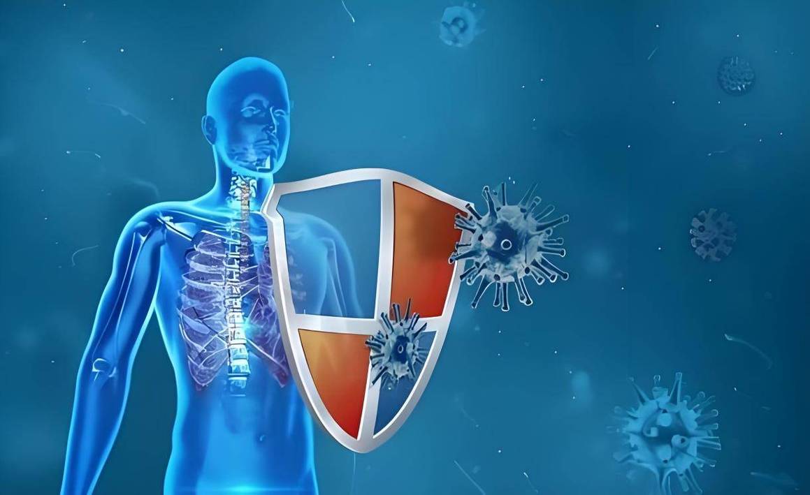 长期喝黑枸杞皮肤好得不得了_黑枸杞补肾护眼功效_冬季养肾黑枸杞好处