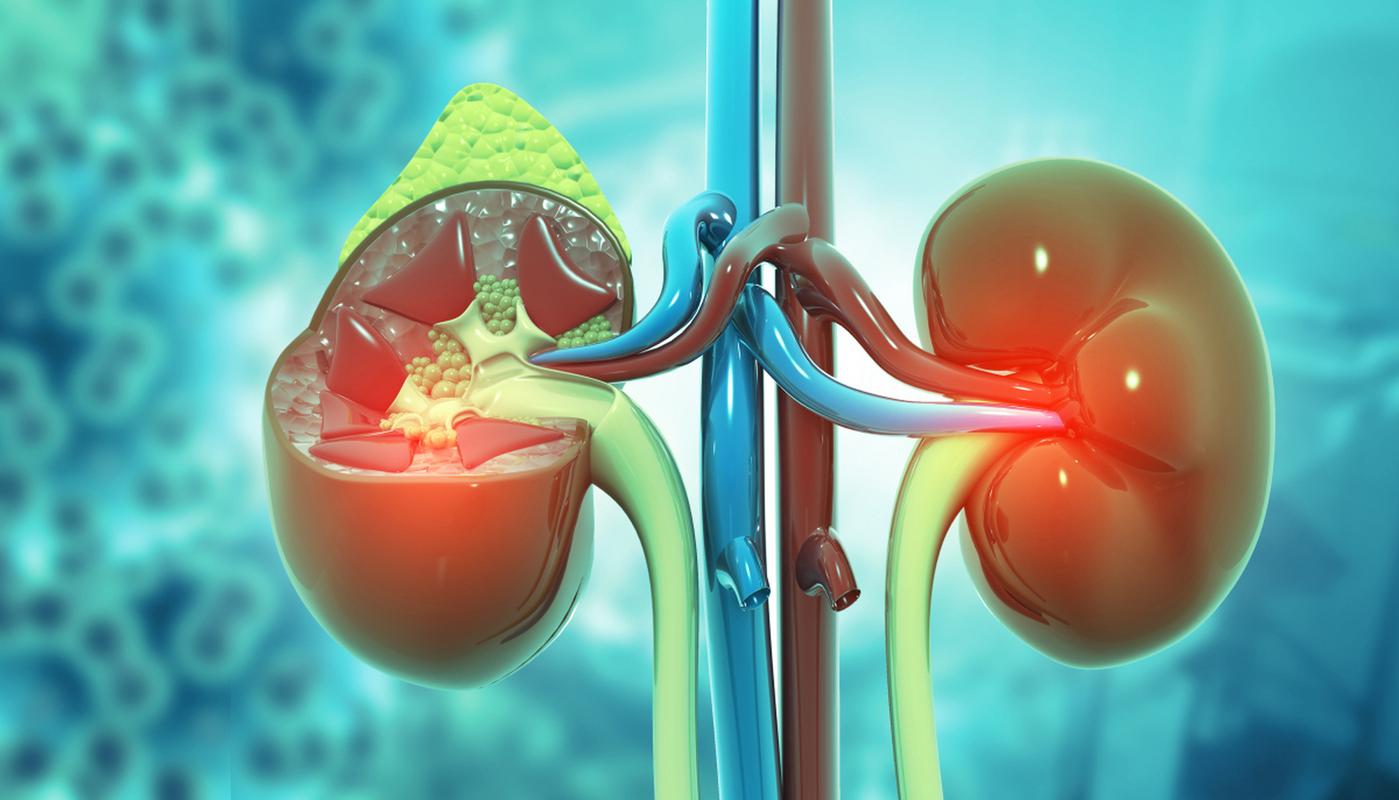 冬季养肾黑枸杞好处_长期喝黑枸杞皮肤好得不得了_黑枸杞补肾护眼功效