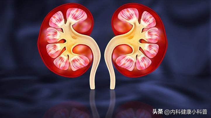 黑枸杞补肾护眼功效_黑枸杞花青素抗氧化作用_长期喝黑枸杞皮肤好得不得了