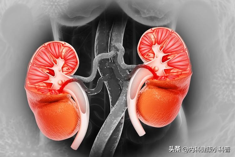 黑枸杞花青素抗氧化作用_长期喝黑枸杞皮肤好得不得了_黑枸杞补肾护眼功效