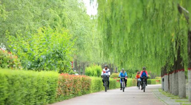 西安渭河生态景观区_西安地铁14号线 渭河 湿地公园_西安湖 紫薇湖 春季赏花