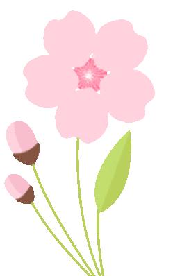 西安湖 紫薇湖 春季赏花_西安渭河生态景观区_西安地铁14号线 渭河 湿地公园