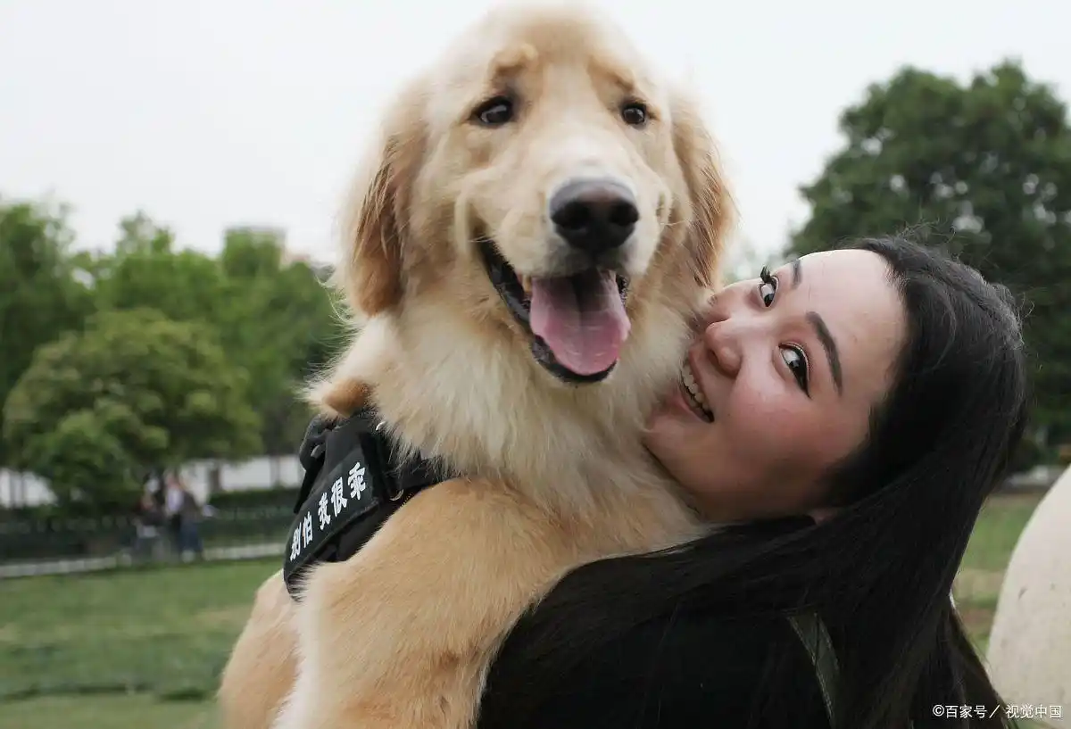 训练狗狗定点大小便方法_狗狗训练大小便要几天_幼犬定点大小便训练技巧