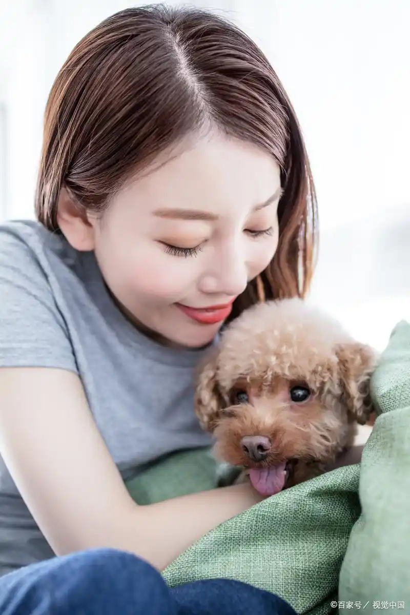 狗狗训练大小便要几天_训练狗狗定点大小便方法_幼犬定点大小便训练技巧