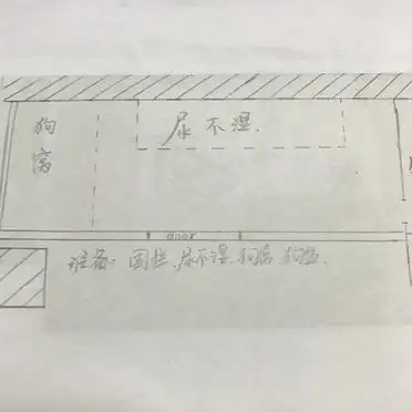 狗狗定点大小便训练_狗狗训练大小便要几天_如何训练狗狗定点上厕所