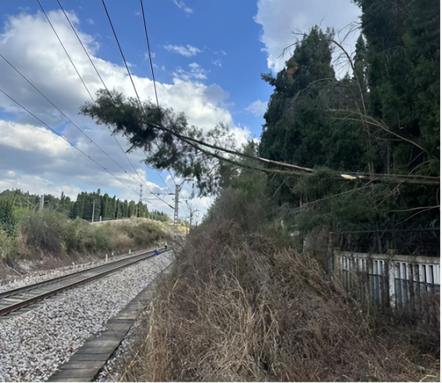 铁路道口安全_铁路沿线环境安全_铁路红光带的种类