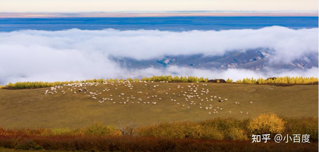环境生态工程专业_生态学经济学社会学意义_环境保护的重要性