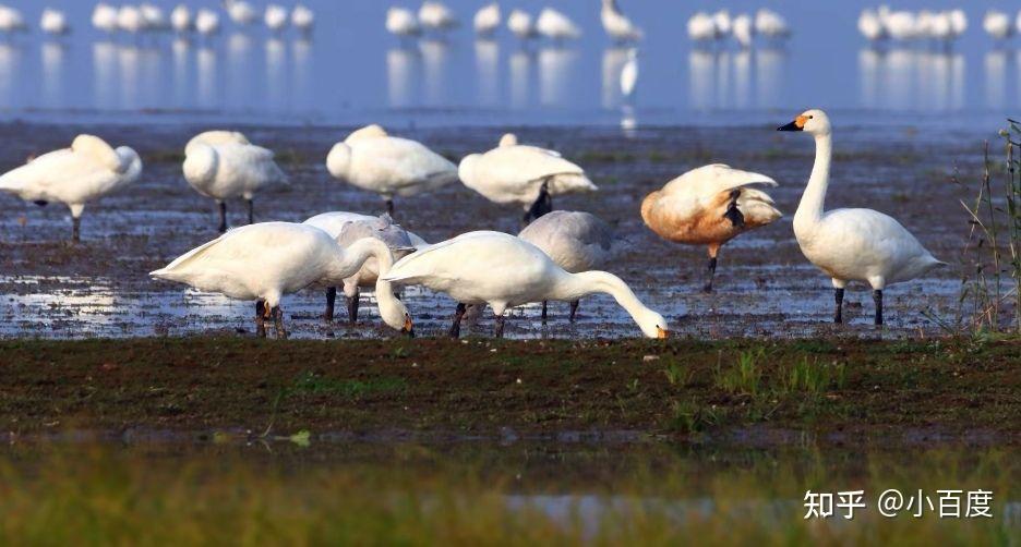 环境生态工程专业_生态学经济学社会学意义_环境保护的重要性
