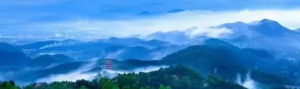 新会历史文化_新会旅游景点_新会市现代农业基地