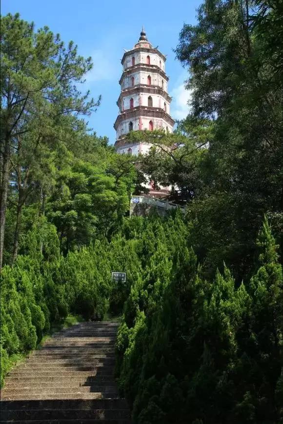 新会旅游景点_新会历史文化_新会市现代农业基地