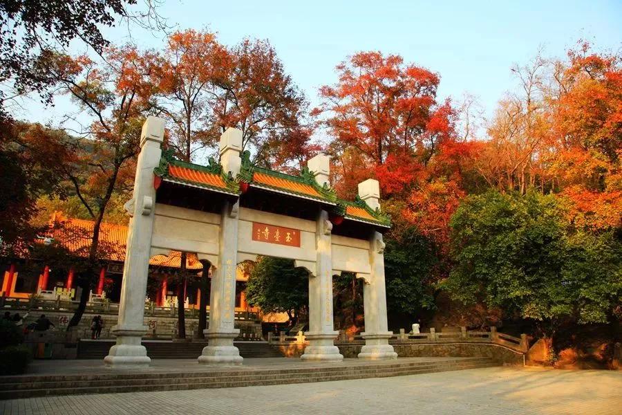 新会市现代农业基地_新会历史文化_新会旅游景点