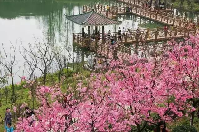 新会市现代农业基地_新会历史文化_新会旅游景点