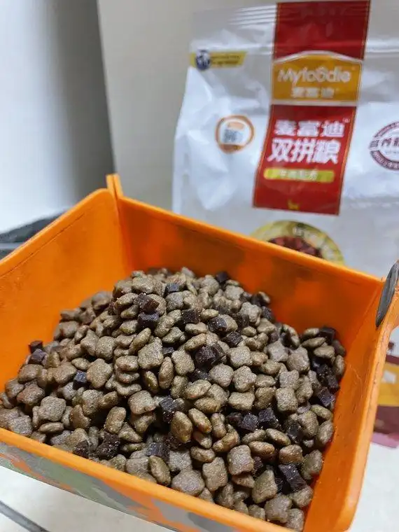 狗狗怀孕8大观察指标_如何判断狗狗是否怀孕_狗狗怀孕多久能看出来