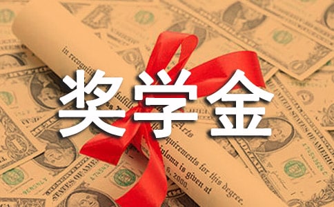 奖学金辅导员推荐评语