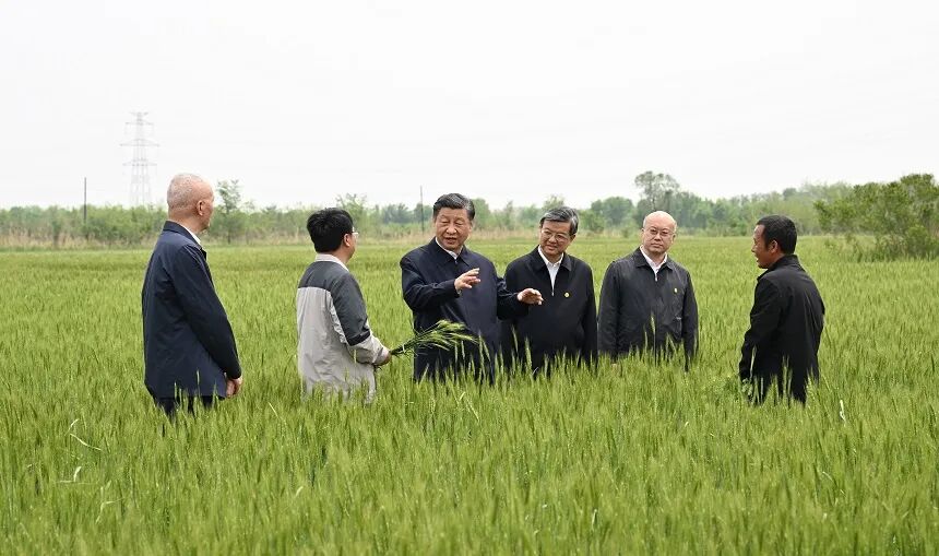 生态文明建设原则_我们必须树立的生态文明理念_人与自然和谐共生理念