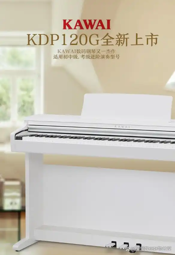 买珠江钢琴哪个型号_电钢琴类型功能_家用钢琴选购指南