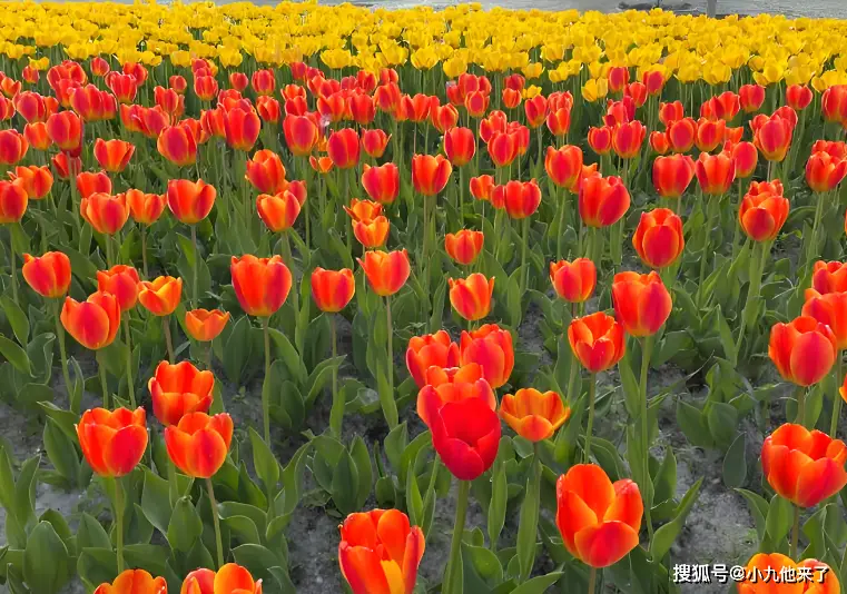 西宁旅游攻略_西宁文化公园具体_塔尔寺壁画青海湖