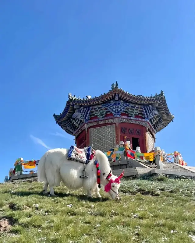 西宁旅游攻略_塔尔寺旅游指南_西宁文化公园具体