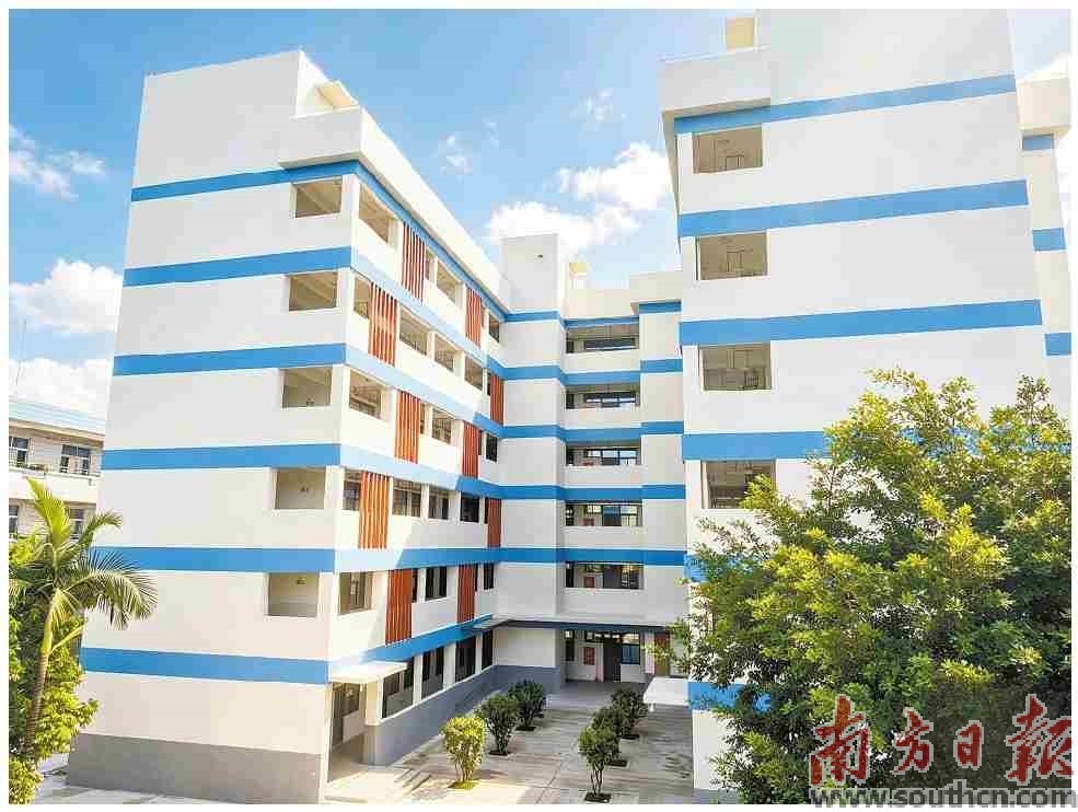 新兴县教育高质量发展_校园文化建设路径_新兴县五育融通教育改革