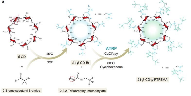 全固态电池固体电解质性能提升_新型21臂聚合物电解质_固体聚合物电解质