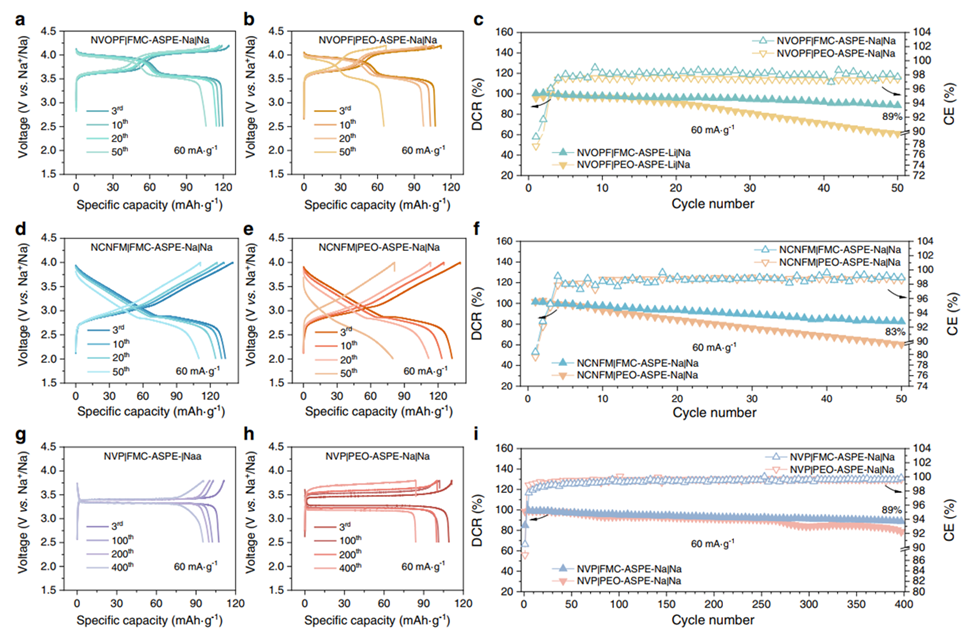 全固态电池固体电解质性能提升_固体聚合物电解质_新型21臂聚合物电解质