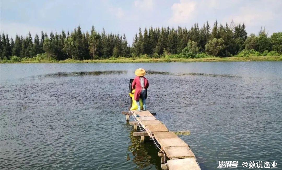 联合国粮食与农业组织渔业数据_全球四大渔场_全球分区域捕捞情况