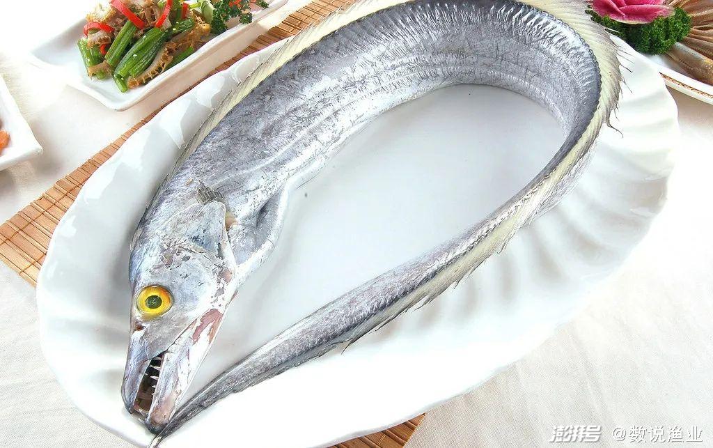 联合国粮食与农业组织渔业数据_全球四大渔场_全球分区域捕捞情况