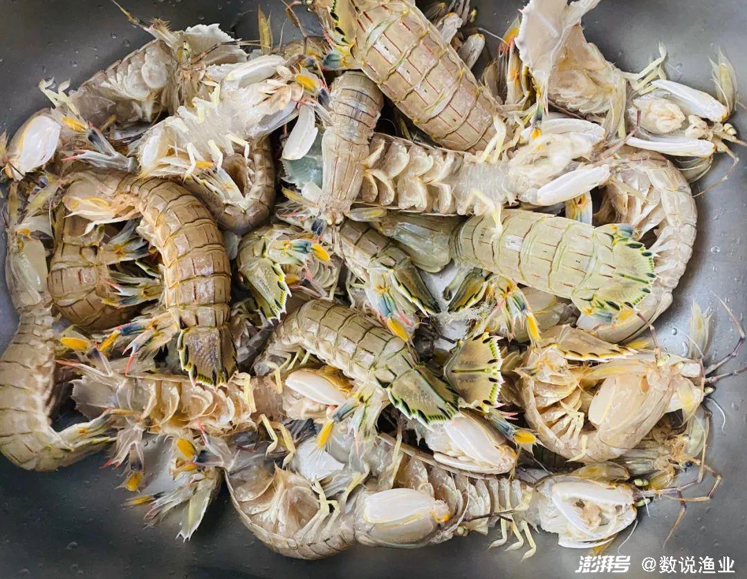 全球分区域捕捞情况_联合国粮食与农业组织渔业数据_全球四大渔场