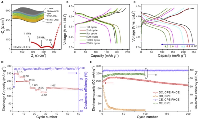 构建氟化盐层提升固态聚合物电解质锂金属电池界面稳定性_紫外光聚合反应原位生成LiF-无机固态电解质相调控锂沉积溶解_固体聚合物电解质