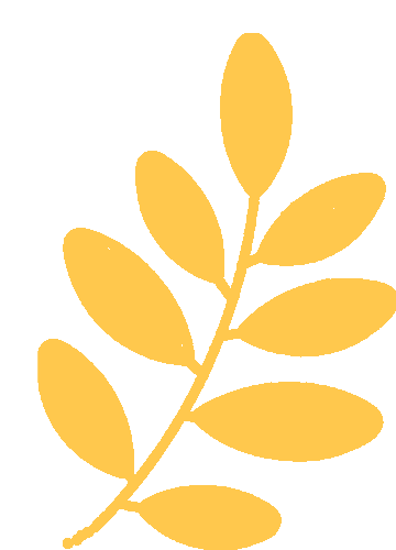 年轻人脱发信号_科学应对脱发_14岁头发少是什么原因