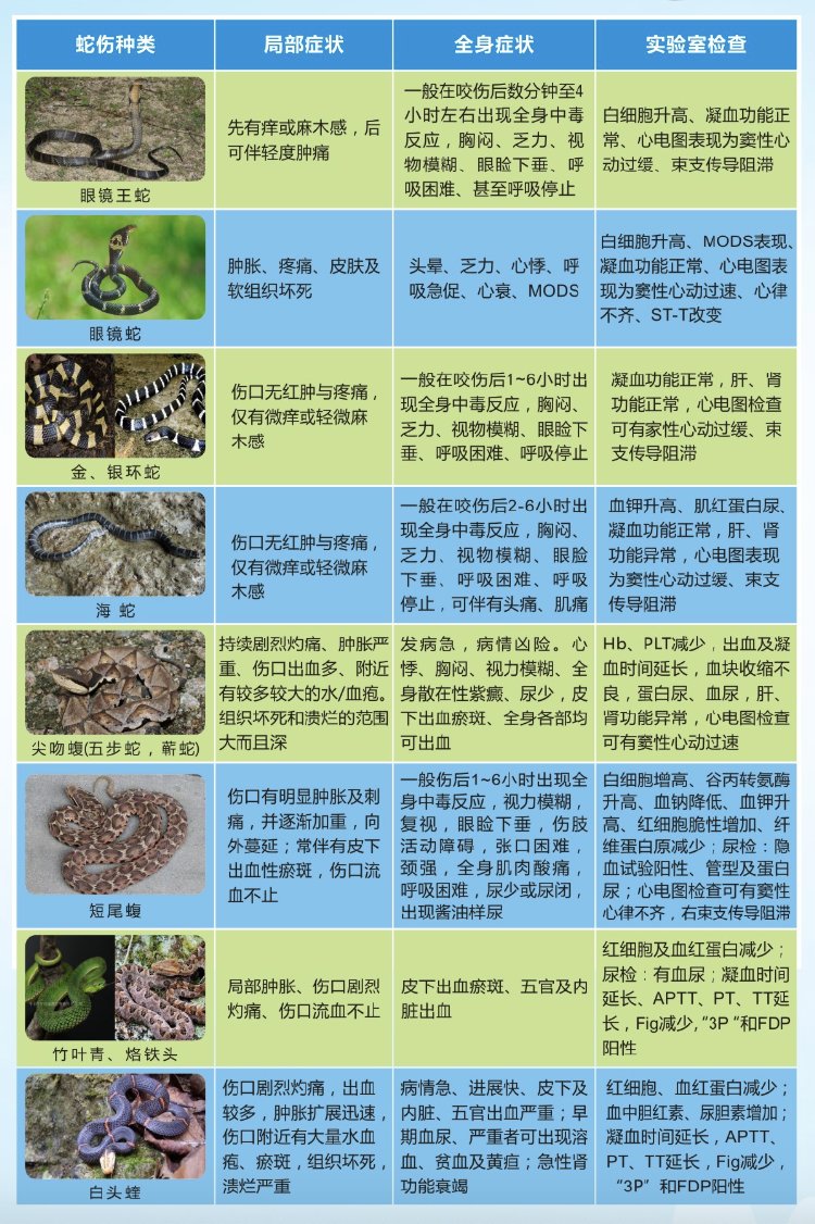 云南有没有眼镜蛇血清_重庆常见毒蛇种类及防治_重庆五步蛇咬伤急救