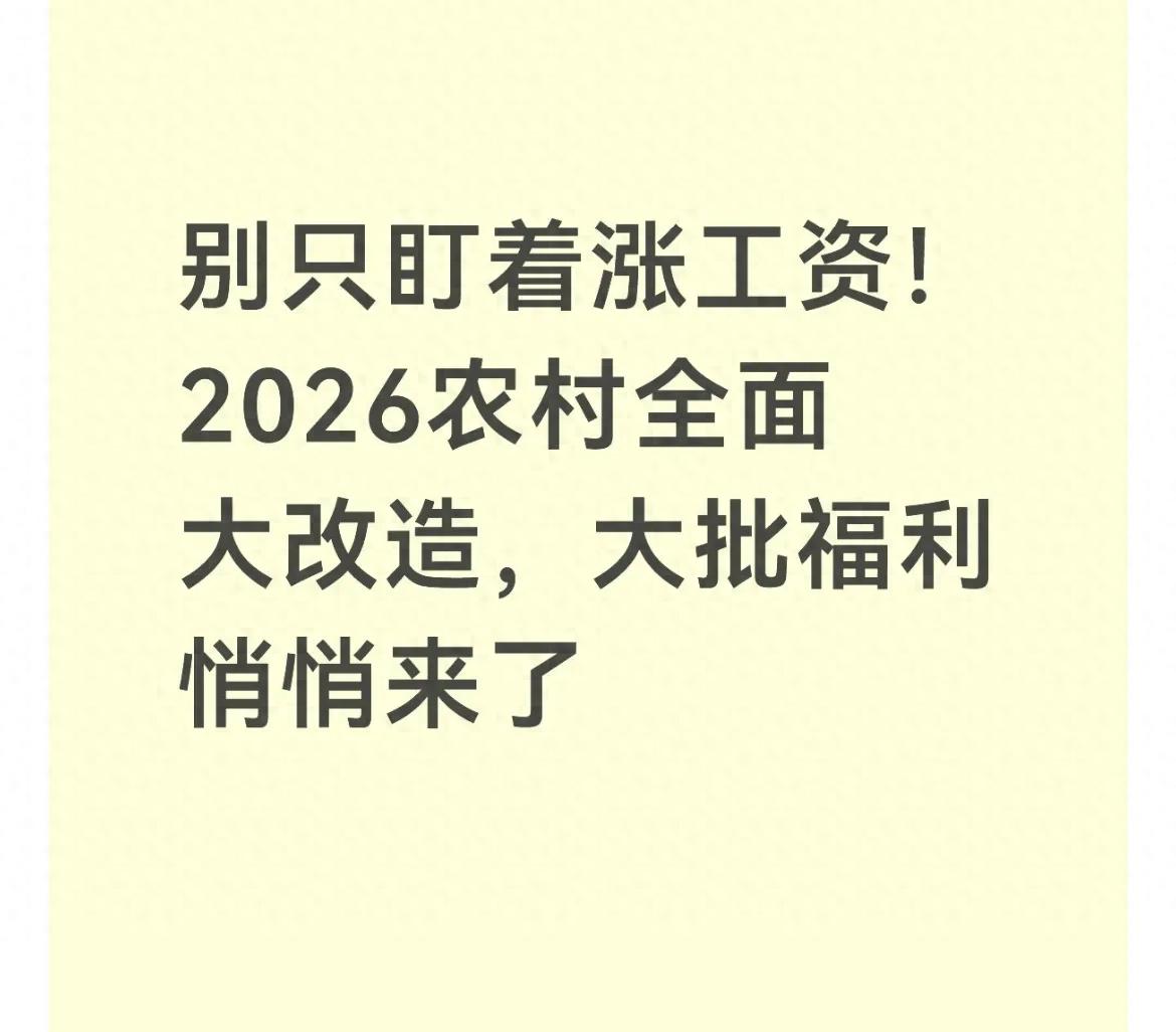 2026年无本热门的致富点子_2026年农村大建设_中央一号文件农村建设