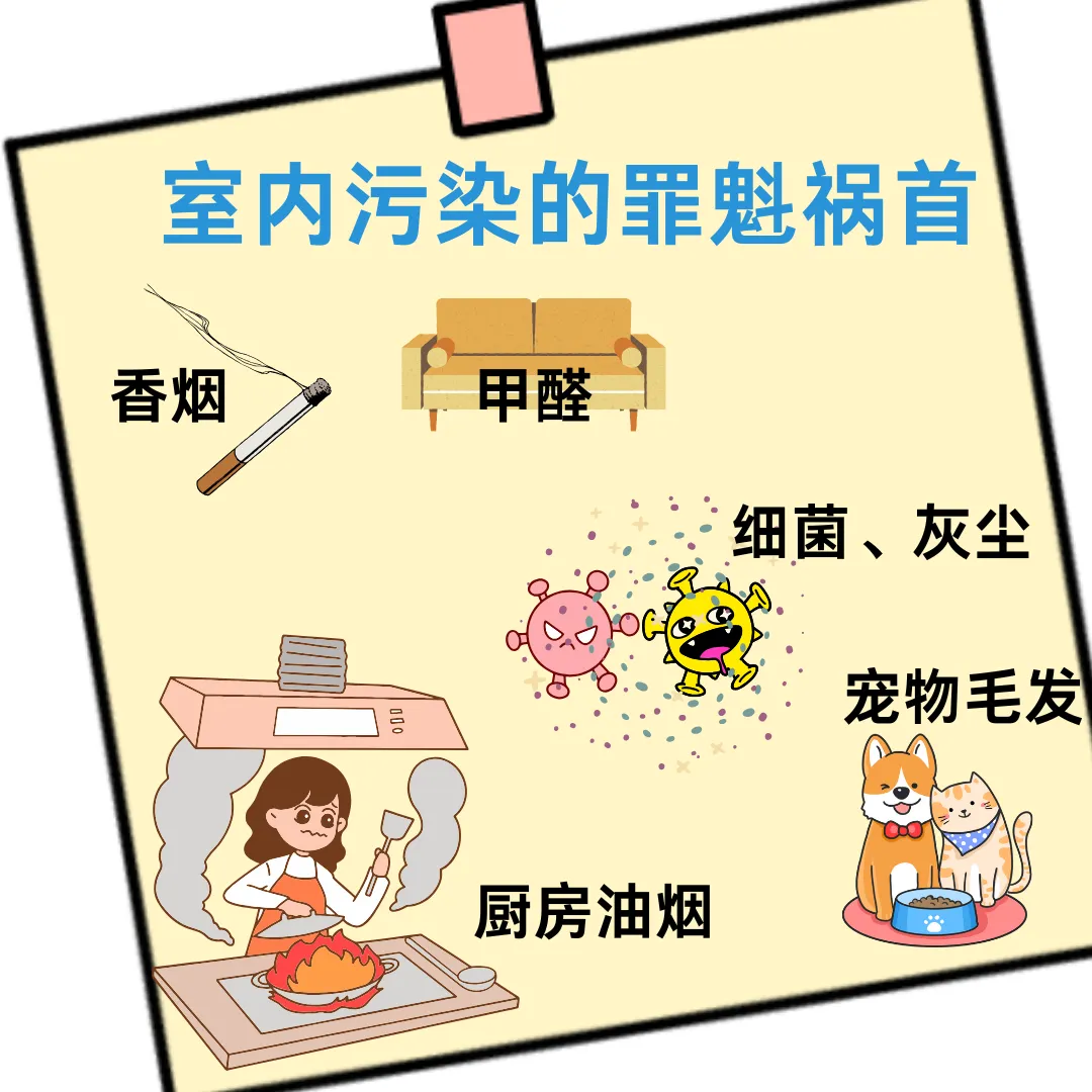 室内环境污染来源_甲醛苯系物危害_室内环境污染知识