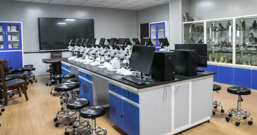 生态文明教育基地_蔷薇花墙生态文明宣教_江苏生态文明教育实践基地