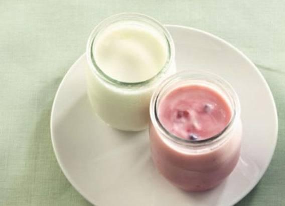 酸奶制作方法_酸奶常温放一天能喝么_酸奶历史起源