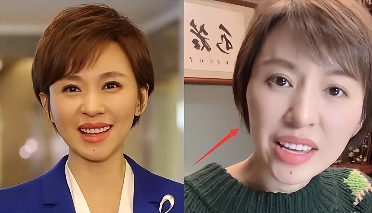 欧阳夏丹 央视离职原因 欧阳夏丹近况_紧身裤两会欧阳夏丹