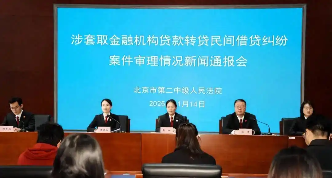 民间借贷纠纷审理情况_套取贷款转贷风险后果_信用贷款案例