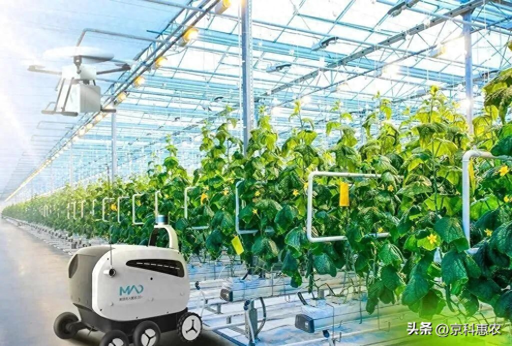 设施农业是什么意思_中国生态有机设施农业网_设施农业发展方向