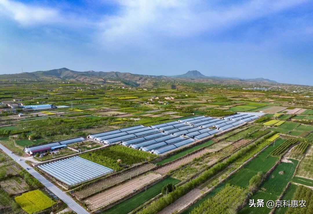 中国生态有机设施农业网_设施农业发展方向_设施农业是什么意思