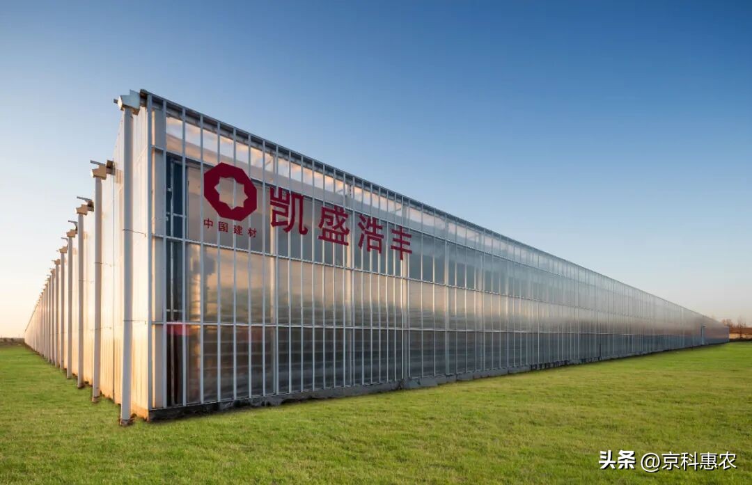 设施农业是什么意思_中国生态有机设施农业网_设施农业发展方向