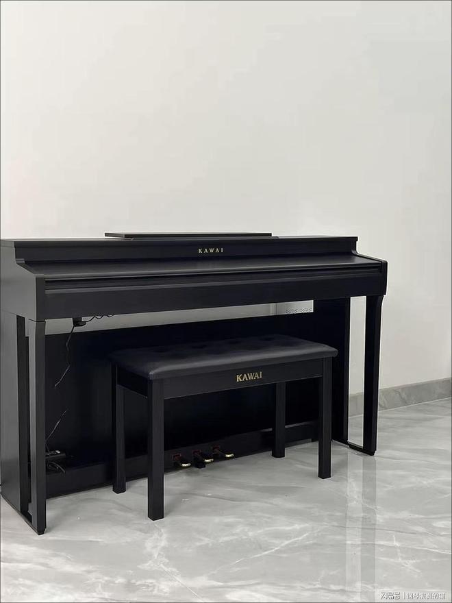 电钢琴选购指南1000-10000元_电钢琴和钢琴有什么区别_派德拉电钢琴推荐