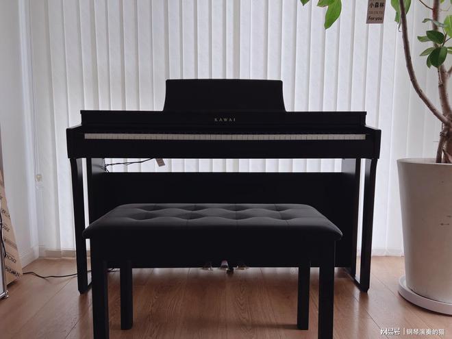 电钢琴选购指南_派德拉电钢琴推荐_电钢琴和钢琴有什么区别