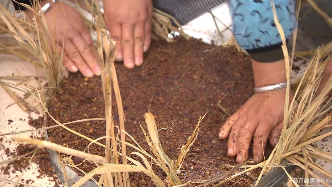 义乌哪里有做入油工艺_赤岸镇双峰村榨油坊_义乌古法榨油