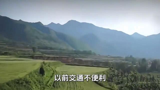 南方祠堂宗族文化_南北地域文化差异_北方祠堂稀少原因