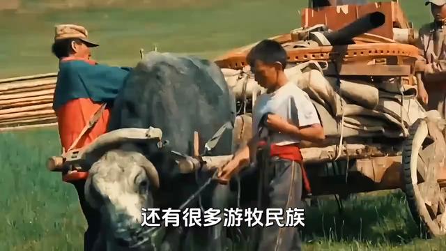 南北地域文化差异_南方祠堂宗族文化_北方祠堂稀少原因