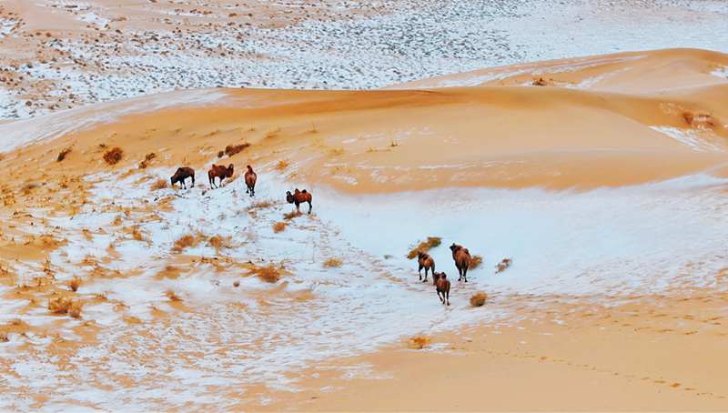 巴丹吉林沙漠旅游_巴丹吉林沙漠自然遗产保护_巴丹吉林沙漠世界遗产