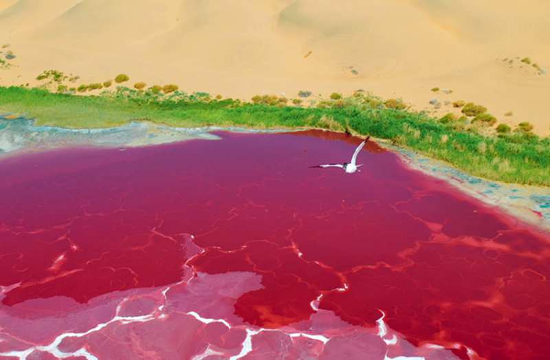 巴丹吉林沙漠自然遗产保护_巴丹吉林沙漠旅游_巴丹吉林沙漠世界遗产